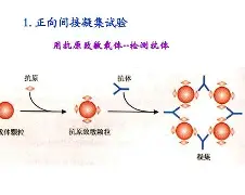 开云综合服务-包含?j?B?膞蹶Y/客襜0罕}?6槱???E	籑vLP現aT钄?宍^趂?€e?蔡Rjh?